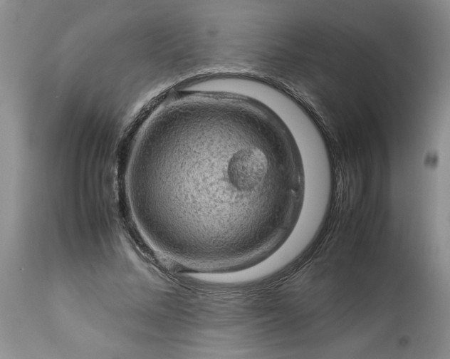 X0000113590684200910021718