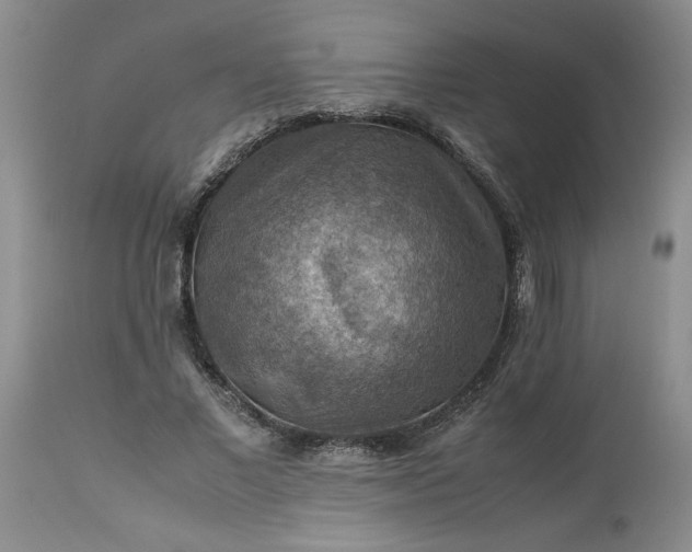 X0000113590685200910021718