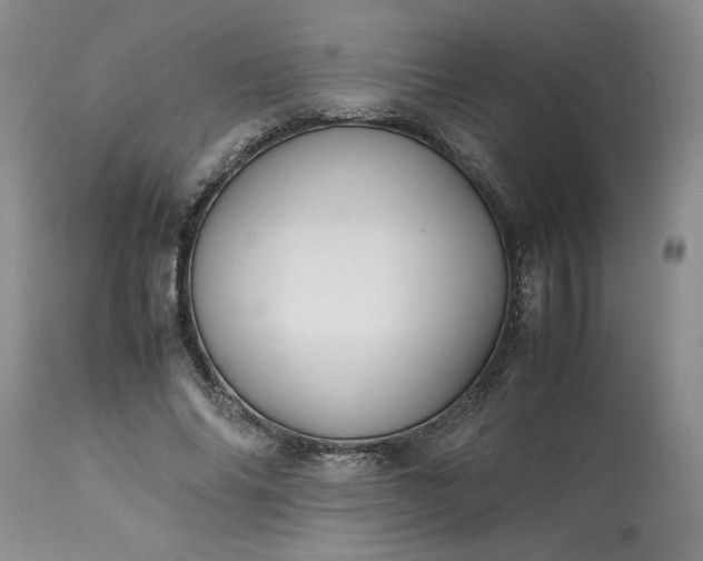 X0000113590686200910021718