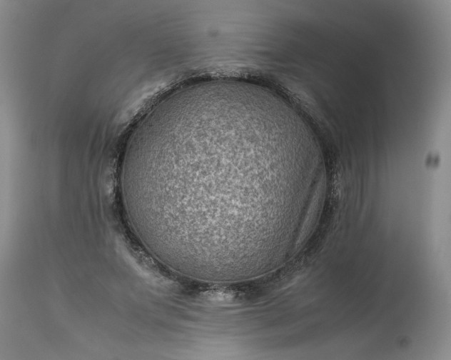 X0000113590687200910021718