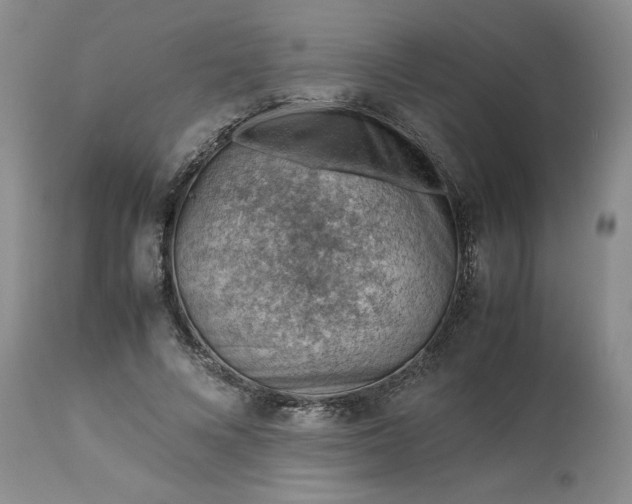 X0000113590688200910021718