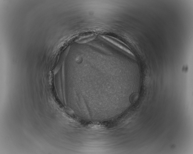 X0000113590689200910021718