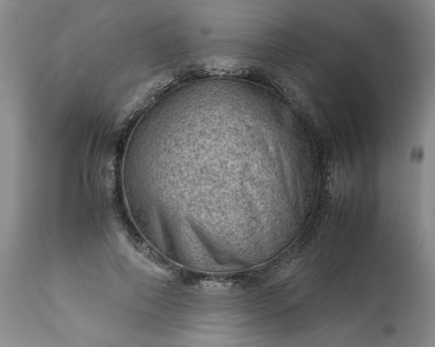 X0000113590690200910021718