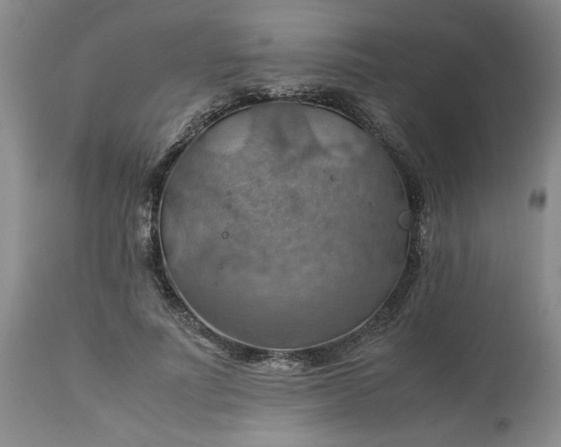 X0000113590691200910021718