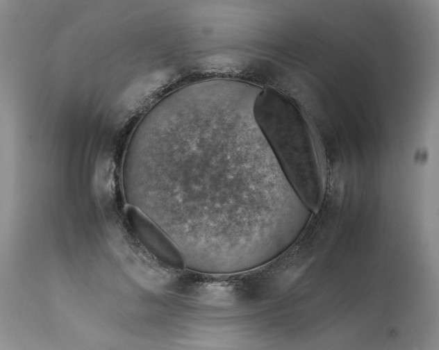 X0000113590692200910021718