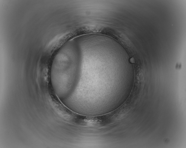 X0000113590693200910021718