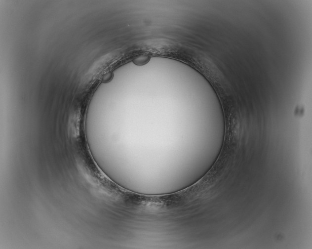 X0000113590694200910021718