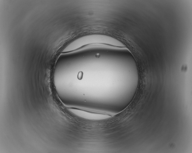 X0000113590696200910021717