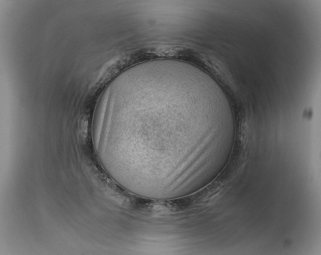 X0000113590697200910021717