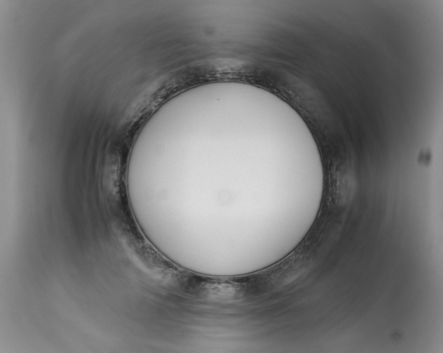 X0000113590698200910021717