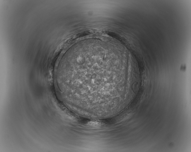 X0000113590699200910021717