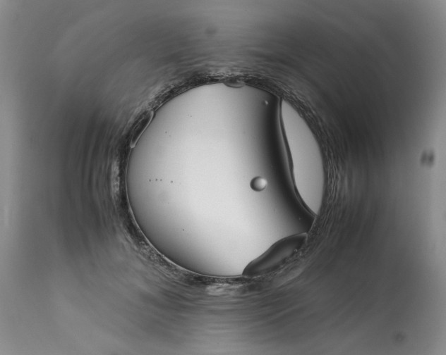 X0000113590700200910021717