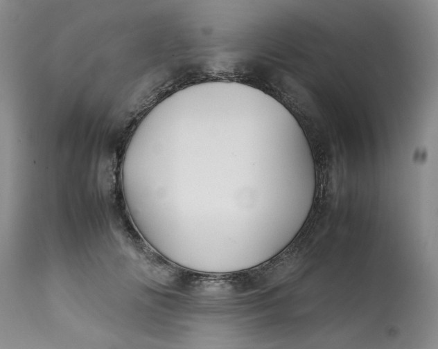 X0000113590702200910021717