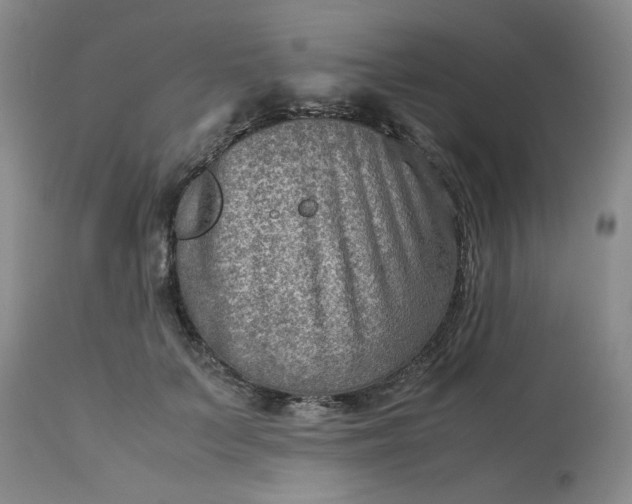 X0000113590703200910021717