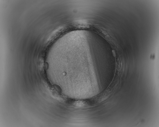 X0000113590704200910021717