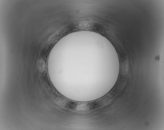 X0000113590705200910021717