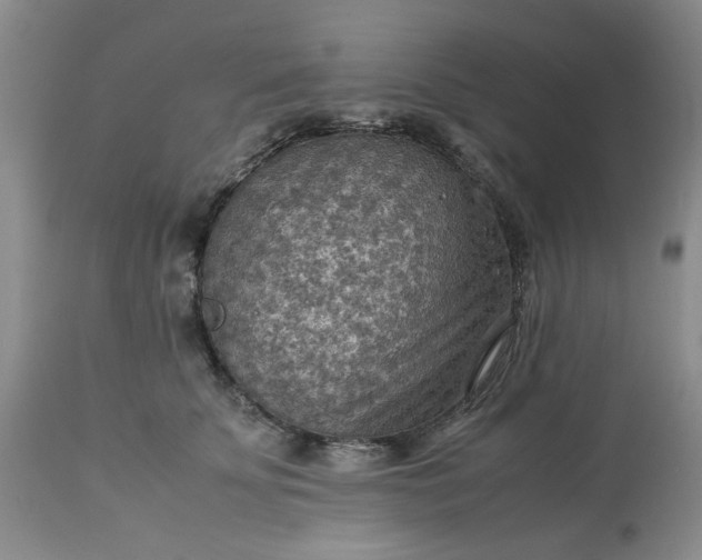 X0000113590707200910021717