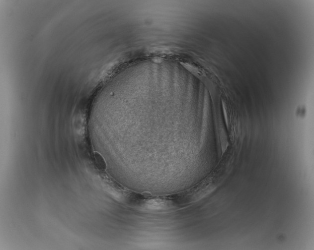 X0000113590708200910021717