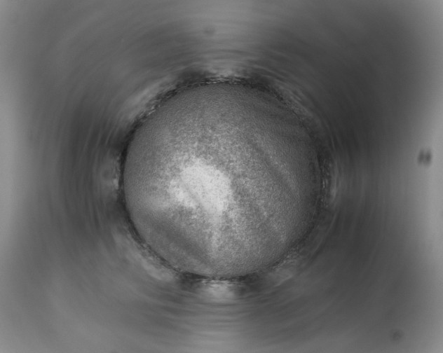 X0000113590710200910021717