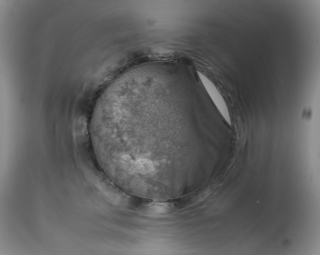 X0000113590711200910021717