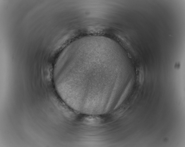 X0000113590712200910021717