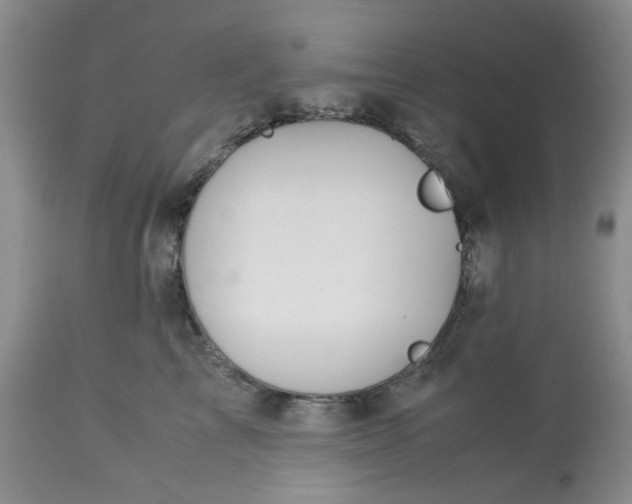 X0000113590713200910021717