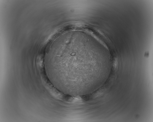 X0000113590715200910021717