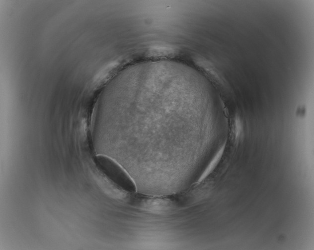 X0000113590716200910021717