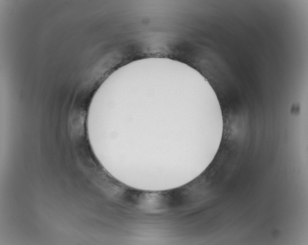 X0000113590717200910021717