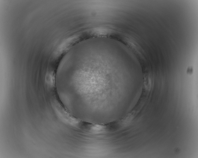 X0000113590718200910021717