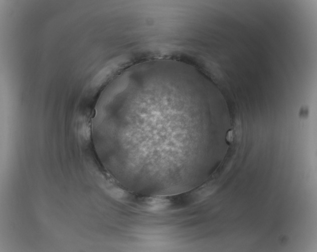 X0000113590719200910021717