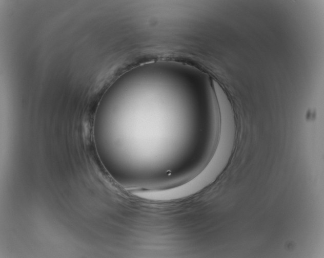 X0000113590720200910021717