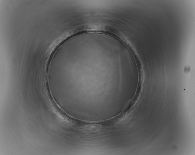 X0000113590721200910021716