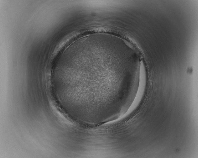 X0000113590722200910021716