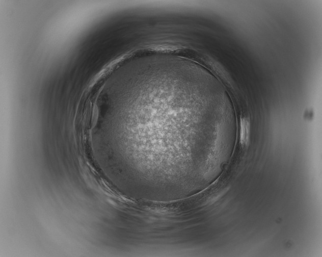 X0000113590723200910021716