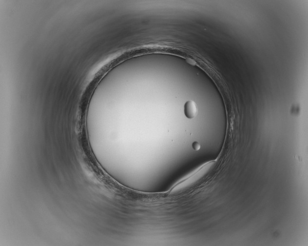 X0000113590724200910021716