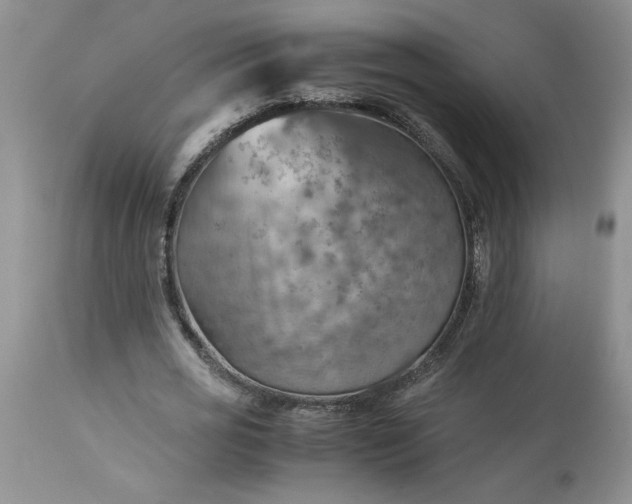 X0000113590725200910021716