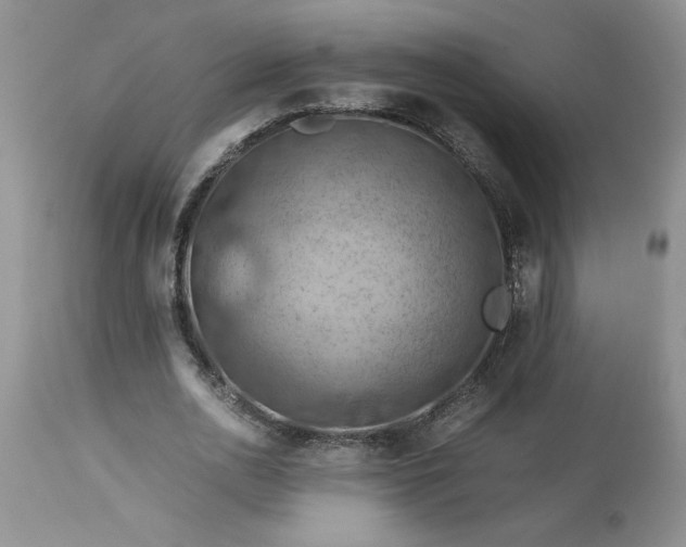 X0000113590726200910021716