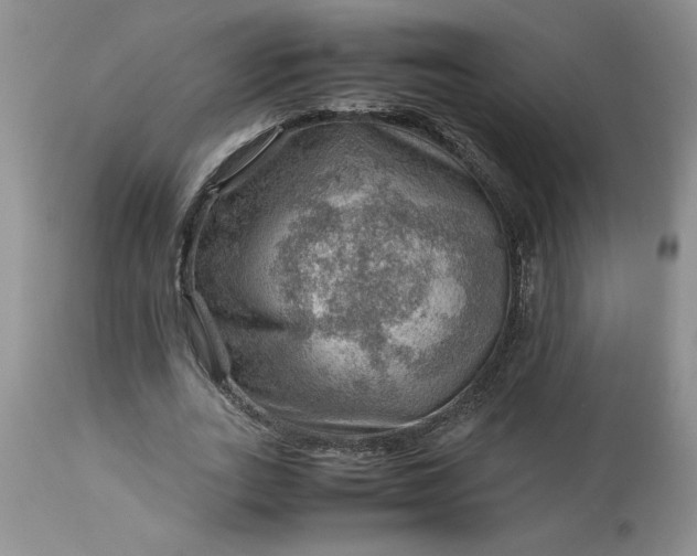 X0000113590727200910021716