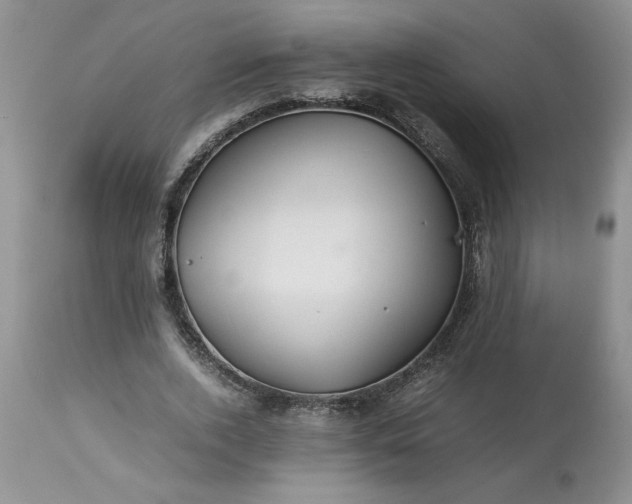 X0000113590728200910021716