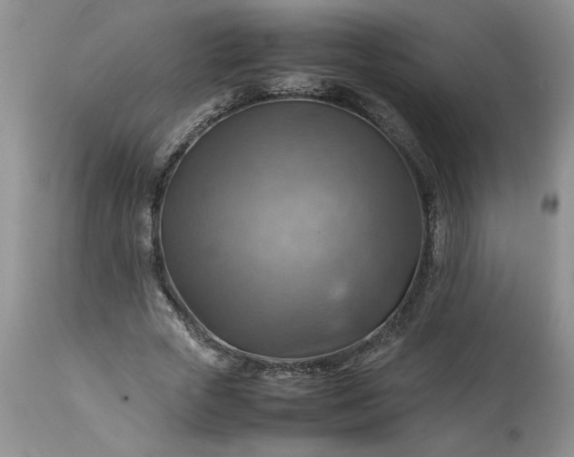 X0000113590729200910021716