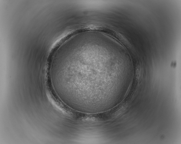 X0000113590730200910021716