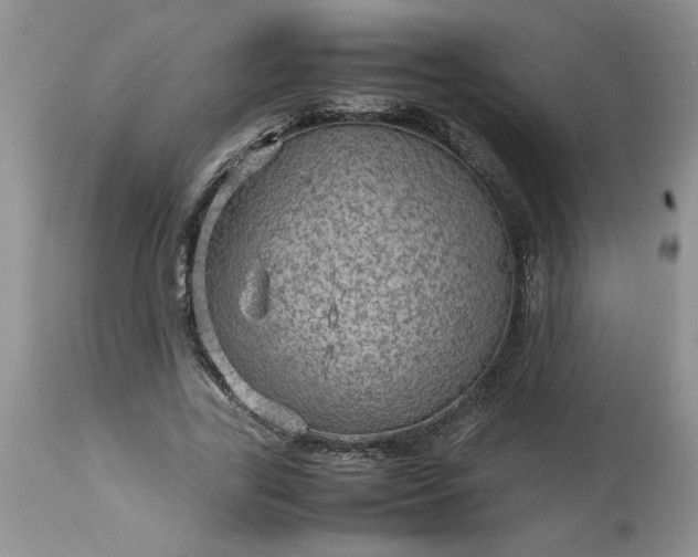 X0000113590731200910021716