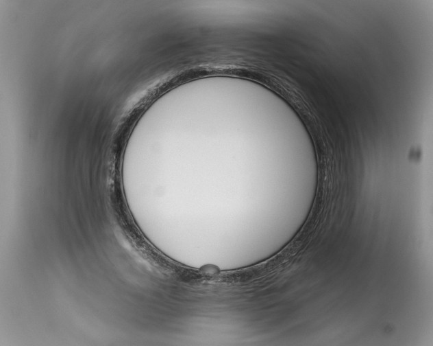 X0000113590732200910021716