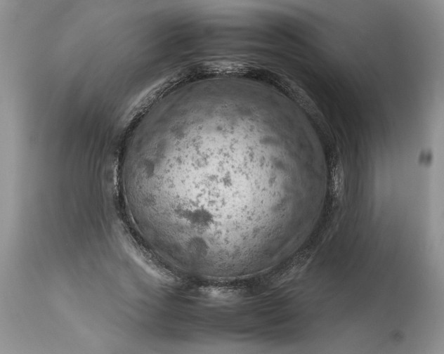 X0000113590733200910021716