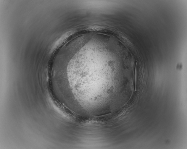 X0000113590734200910021716