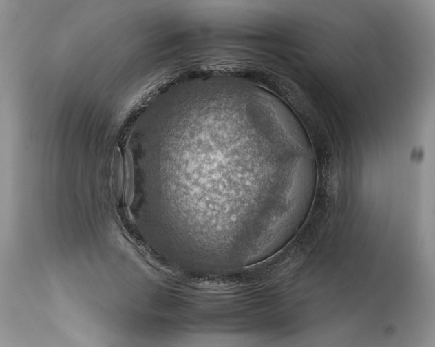 X0000113590735200910021716