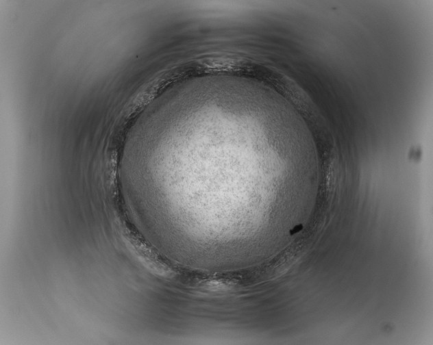 X0000113590737200910021716