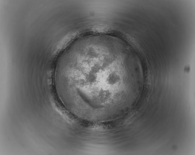 X0000113590738200910021716