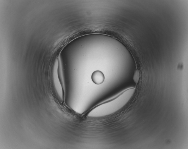 X0000113590740200910021716